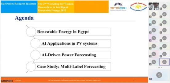 中埃女科学家共话智能新能源未来