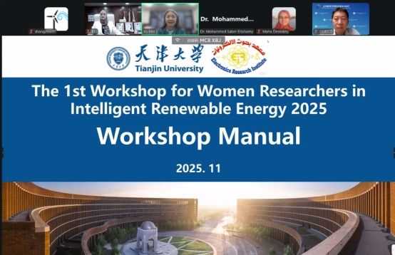 中埃女科学家共话智能新能源未来